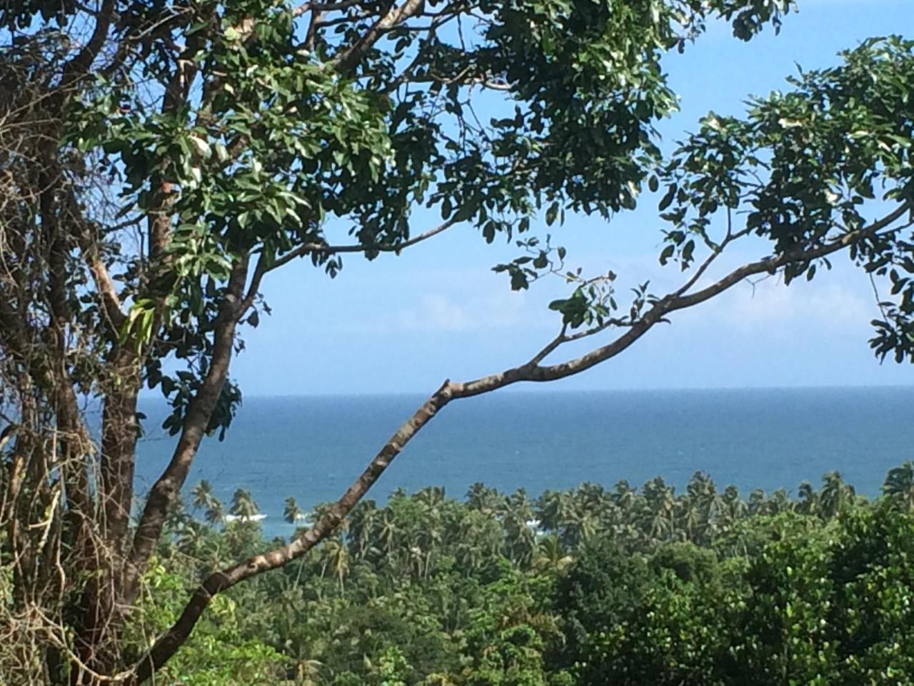 Tabula Rasa Resort&Spa Habaraduwa Bagian luar foto